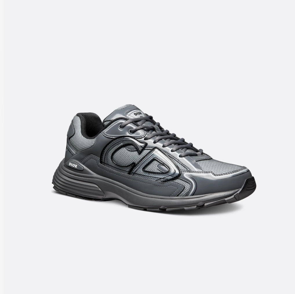Dior B30 Gris